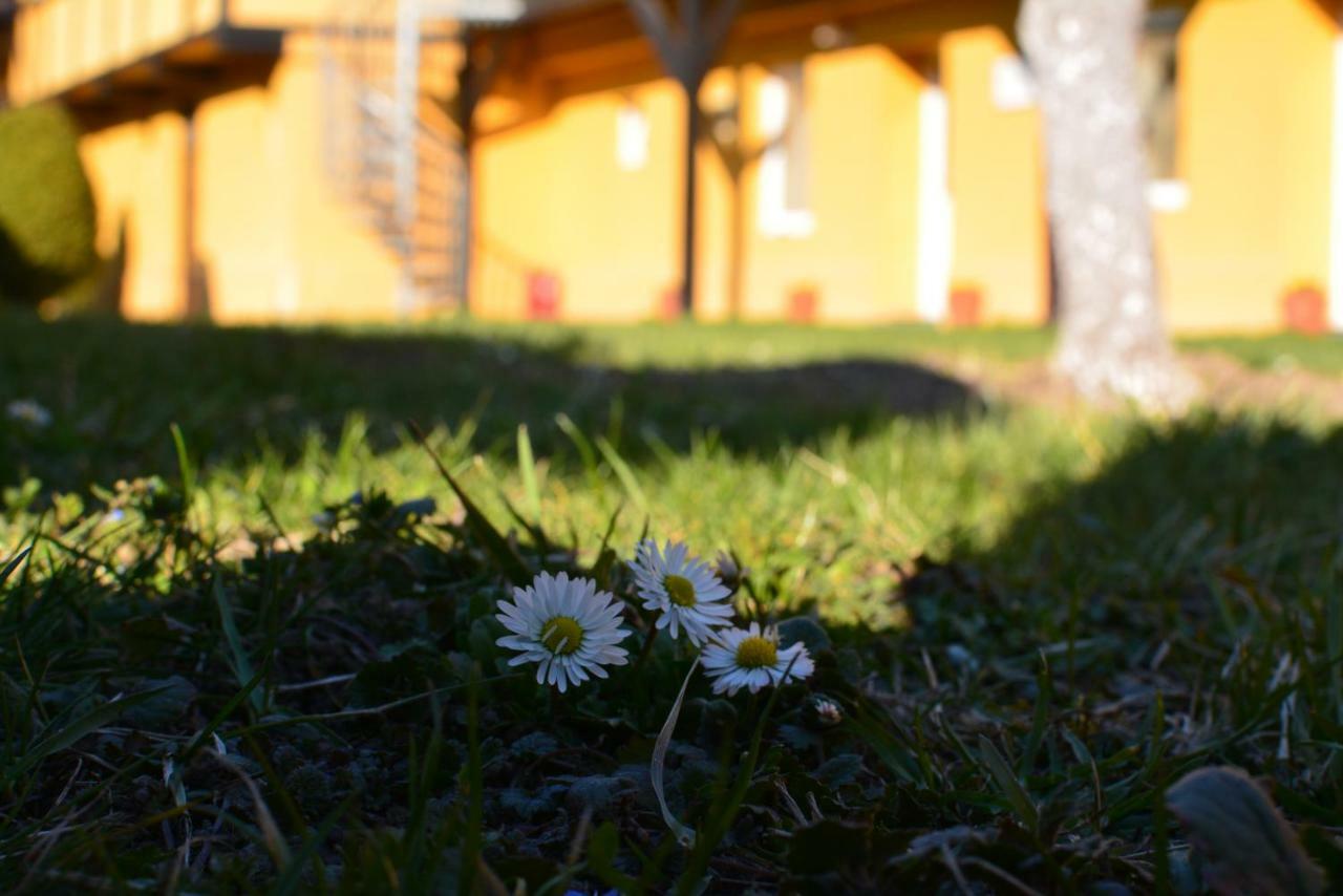 Cristian Inn Kültér fotó